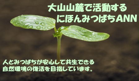 タイトル画像双葉
